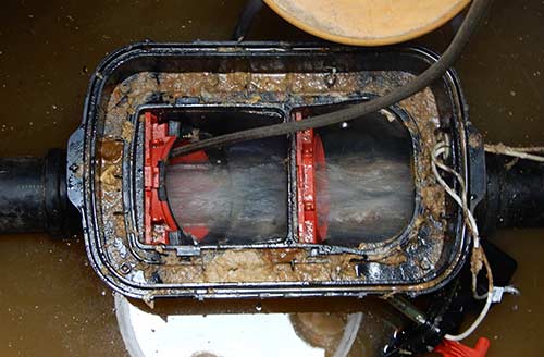 gegen Ratten verbaute Rückstauklappe